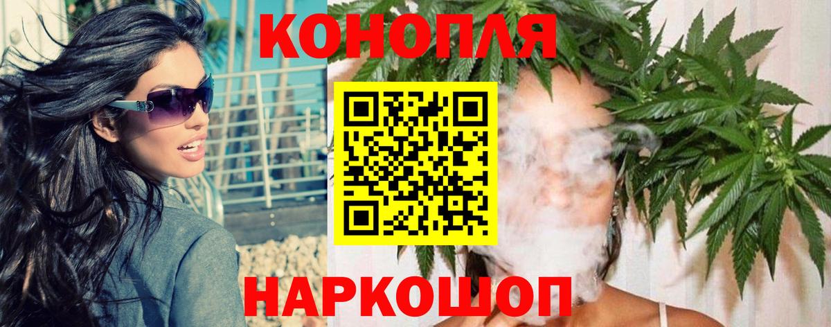 Марихуана гибрид Дубна